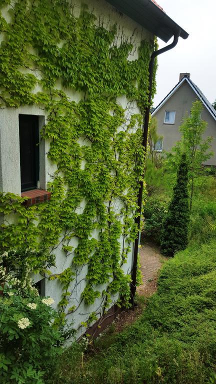 Haus Seefeld Ückeritz Buitenkant foto